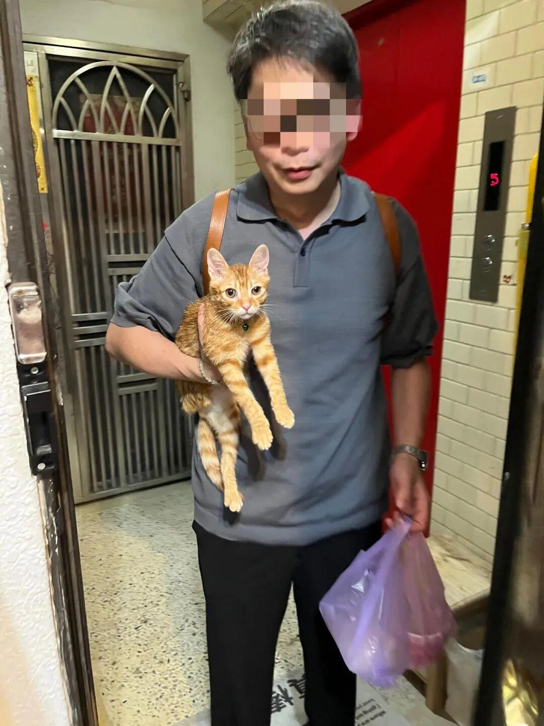 亚博体育登录入口-博主发现猫逃家立刻去追，抓到猫后才发现自己没穿裤子…咪：这不是变态吗